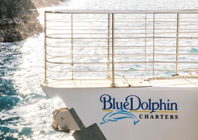 Blue Dolphin Charters